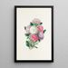 Asters - Clarissa Munger Badger — framed artwork on a wall