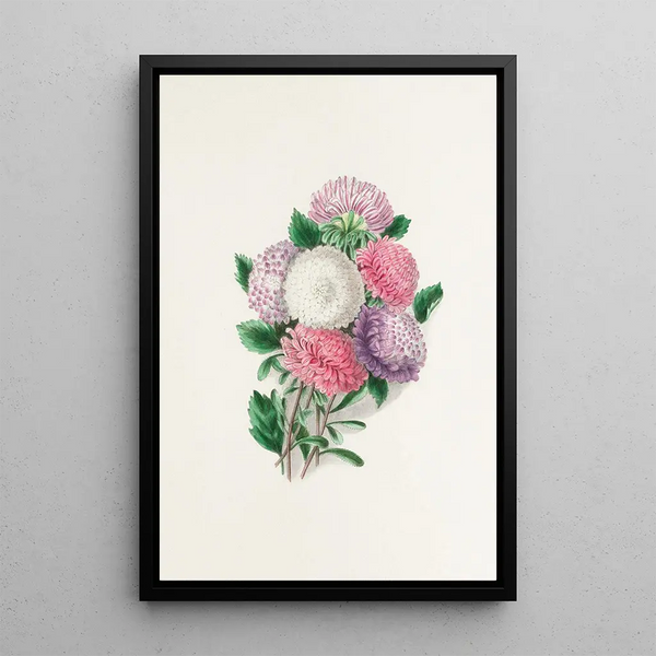 Asters - Clarissa Munger Badger — framed artwork on a wall