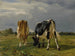 Cows in a meadow - Constant Troyon — artwork view