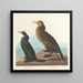 Cormorán verde violeta - John James Audubon — cuadro enmarcado en la pared