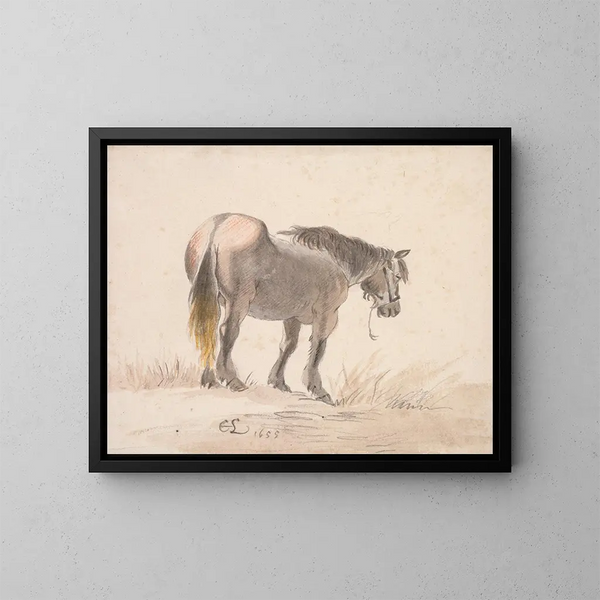 Caballo de pie sobre un montículo - Cornelis Saftleven — cuadro enmarcado en la pared