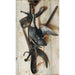 Trompe-l'œil with dead duck and hunting accessories - Cornelius Norbertus Gijsbrechts — artwork view