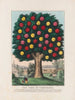L'Arbre de tempérance - Currier Ives — vista de la obra