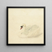 Cygne tuberculé - Aert Schouman — cuadro enmarcado en la pared