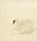 Cygne tuberculé - Aert Schouman — vista de la obra