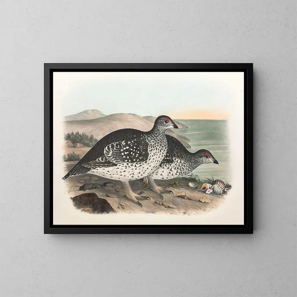 Arctic Sharp-Tailed Grouse - Daniel Giraud Elliot — framed artwork on a wall