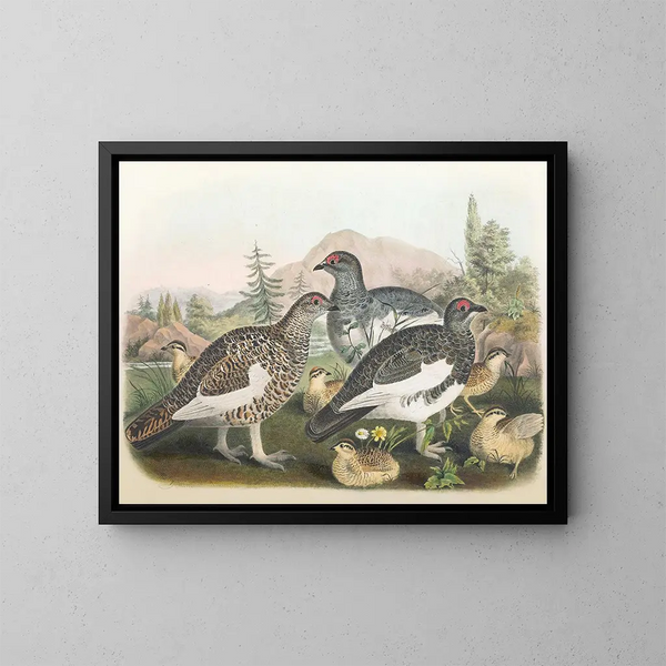 Alpine Grouse Painting - Daniel Giraud Elliot — framed artwork on a wall