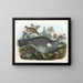 Golden-crowned Grouse - Daniel Giraud Elliot — framed artwork on a wall