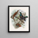Ptiloris grandis - Daniel Giraud Elliot — cuadro enmarcado en la pared
