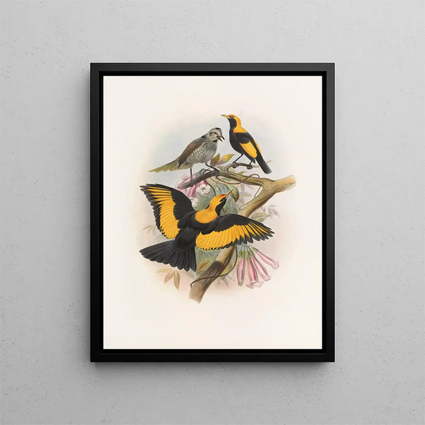 Silky Honeycomb Painting - Daniel Giraud Elliot — framed artwork on a wall