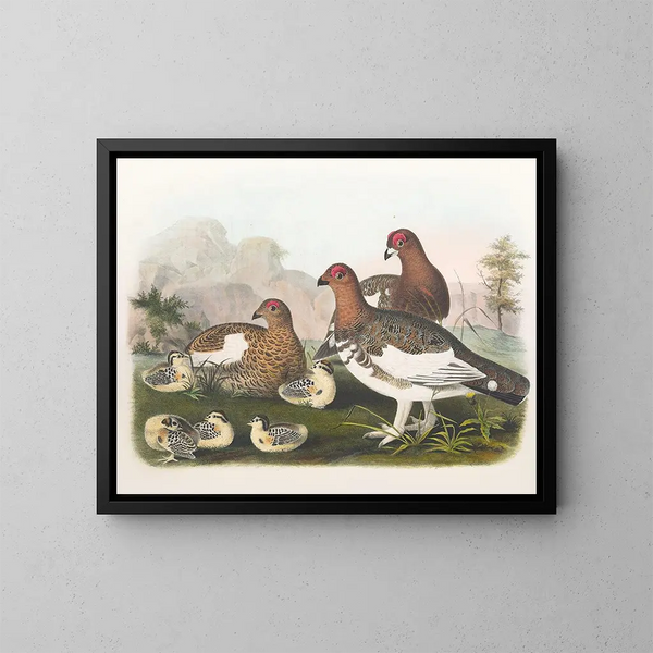 The willow ptarmigan - Daniel Giraud Elliot — framed artwork on a wall