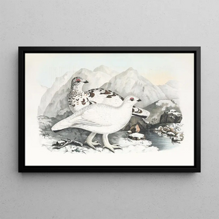 Daniel Giraud Elliot - Willow Grouse.webp