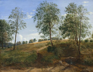 Dankvart Dreyer - The Caroline Spring at Nsby on Funen.webp