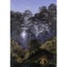 Reproducción del cuadro En el bosque a la luz de la luna - Caspar David Friedrich