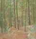 En los bosques de pinos - Emil Carlsen — vista de la obra