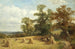 a cornfield in West Malvern - David Bates — artwork view