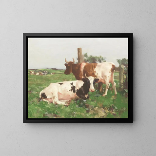 David Gauld - Ayrshire Cattle.webp