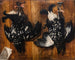 de Gallo negro - David Klöcker Ehrenstrahl — vista de la obra