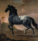 La vida de Carlos XI en el Tigre - David Klöcker Ehrenstrahl — vista de la obra