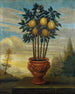 Naranja en un jarrón - David von Cln — vista de la obra
