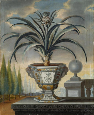 David von Cln - Pineapple plant.webp
