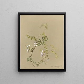 Deborah Griscom Passmore - Deborah Griscom Passmore watercolor album Pl12.webp