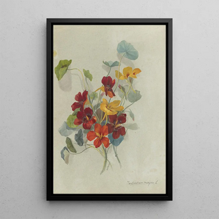 Deborah Griscom Passmore - Deborah Griscom Passmore watercolor album Pl13.webp