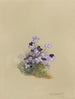 Álbum acuarela de Deborah Griscom Passmore Pl18 - Deborah Griscom Passmore — vista de la obra