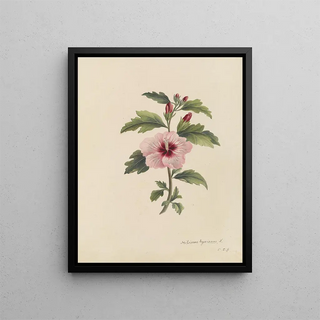 Deborah Griscom Passmore - Deborah Griscom Passmore watercolor album Pl19.webp