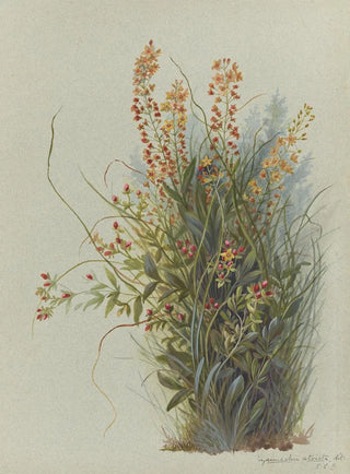 Deborah Griscom Passmore - Deborah Griscom Passmore watercolor album Pl27.webp