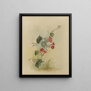 Deborah Griscom Passmore - Deborah Griscom Passmore watercolor album Pl34.webp