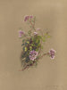 Álbum acuarela de Deborah Griscom Passmore Pl39 - Deborah Griscom Passmore — vista de la obra