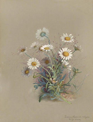 Deborah Griscom Passmore - Deborah Griscom Passmore watercolor album Pl52.webp