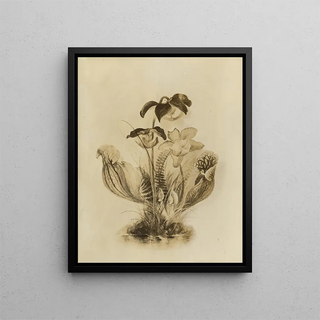 Deborah Griscom Passmore - Deborah Griscom Passmore watercolor album Pl61.webp