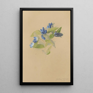 Deborah Griscom Passmore - Deborah Griscom Passmore watercolor album Pl69.webp