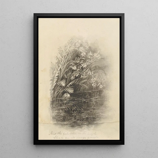 Deborah Griscom Passmore - Deborah Griscom Passmore watercolor album Pl72.webp