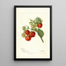 Fragaria Lehigh - Deborah Griscom Passmore — cuadro enmarcado en la pared