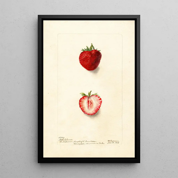 Fragaria Nick Ohmer - Deborah Griscom Passmore — cuadro enmarcado en la pared