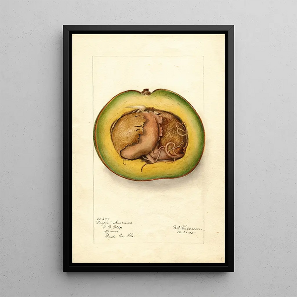 Reproducción del cuadro Persea Trapp - Deborah Griscom Passmore