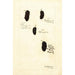 Rubus - Deborah Griscom Passmore — vista de la obra