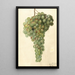 Vitis Málaga - Deborah Griscom Passmore — cuadro enmarcado en la pared
