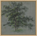 Two Trees - Johann Jacob Dorner — artwork view