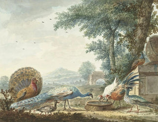 Dirk Kuipers - Hoenderhof.webp