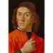 Joven hombre - Domenico Ghirlandaio — vista de la obra