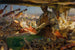 Stradivarius en su taller - Edgar Bundy — vista de la obra