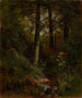 Servicio forestal - Eduard Leonhardi — vista de la obra