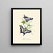 A summary of the natural history of insects from New Holland New Zealand Pl15 - Edward Donovan — framed artwork on a wall