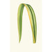 Reproduction of the painting Phormium Tenax - Edward Joseph Lowe