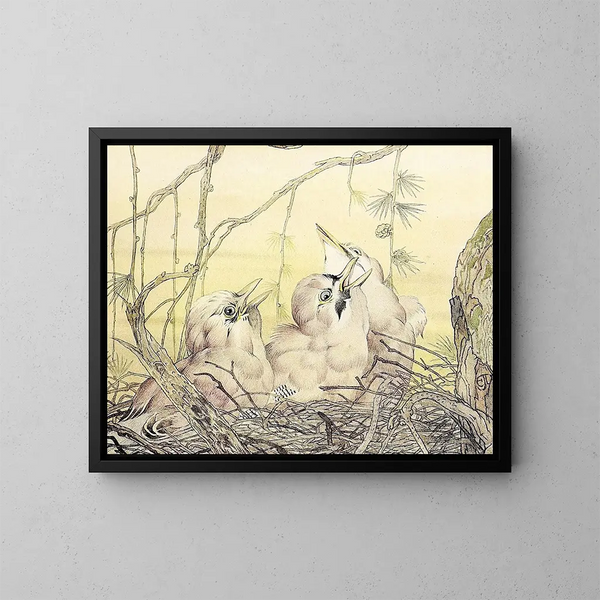 El Arrendajo - Edward Julius Detmold — cuadro enmarcado en la pared