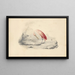 Un flamenco rosa - Edward Lear — cuadro enmarcado en la pared